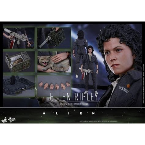 全新未拆 野獸國 Hot Toys MMS 異形 艾倫雷普莉准尉 雷普莉 Ellen Ripley 蝦皮購物