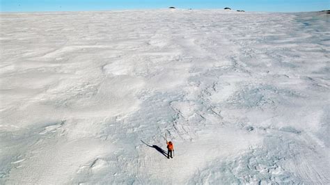 There Could Be Hundreds of Frozen Corpses Buried Beneath Antarctica's ...