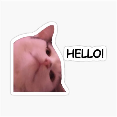 "cute meme cat saying hello" Sticker for Sale by QuotesAndMemes | Redbubble