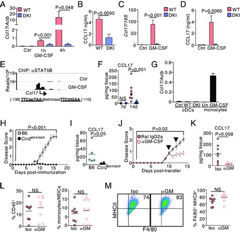 GM CSF Mediated STAT5 Tetramerization In MDCs Regulates CCL17