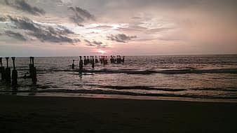 พื้นหลัง, เครื่องสำอาง, ดอกไม้, ครีม, เรือ, หม้อครีม, ความงาม, กระดาษ