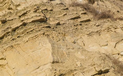 Rock Naked Breed On A Cliff Rocks Near The Sea Stock Image Image Of Edge Hiking