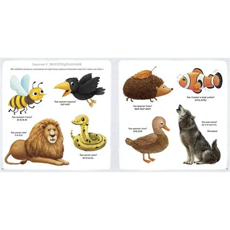 Альбом для развития мозга малыша 1+ — купить книгу в Минске — Biblio.by