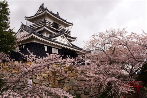 hamamatsu castle park shizuoka prefecture zooming japan