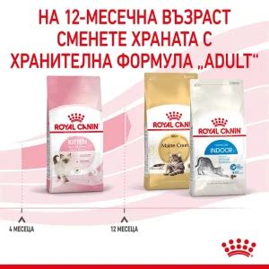 ROYAL CANIN KITTEN на Цена от 11 38лв Lapichki bg