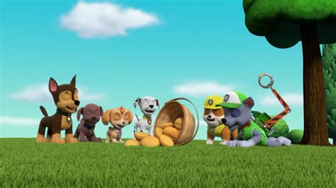 Watch Paw Patrol Season 8 Episode 30 Pups Save A Flying Farmhouse