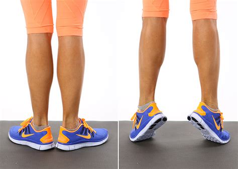 Calf Raises — External Rotation 7 Important Exercises Youre Probably