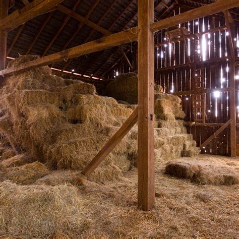 Buy OFILA Nativity Barn Backdrop 10x10ft Hay Bale Background Christmas