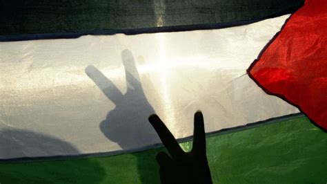 Flags are nothing to fear - spiked