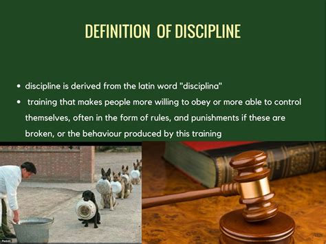 Ppt Discipline Powerpoint Presentation Free Download Id7637019