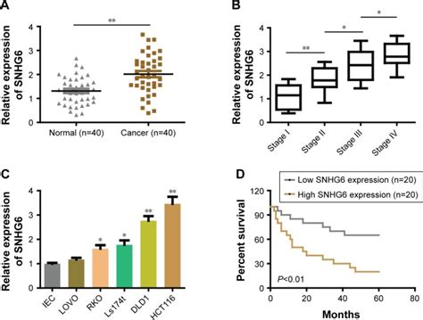 Long Noncoding Rna Snhg Promotes The Progression Of Colorectal Cancer