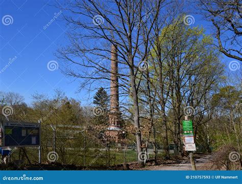 Spring In The Grunewald Forest Berlin Editorial Stock Photo Image Of