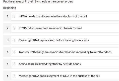 SOLVED Put The Stages Of Protein Synthesis In The Correct Order