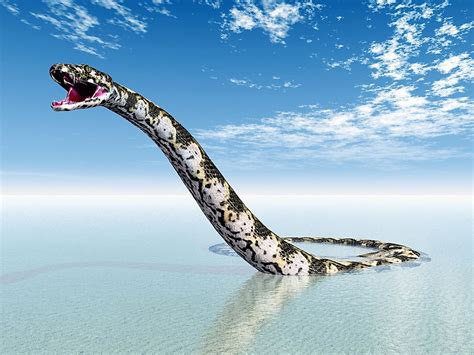 What Was The Titanoboa? - WorldAtlas