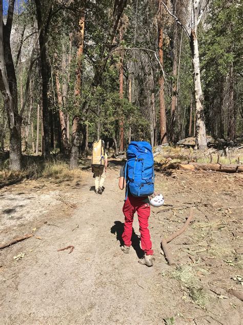 A Review: Avalon Tower. Author: C.N. Crawford and Alex Rivers | by