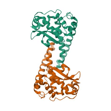 Gene P Protein Sod Overview Cansar Ai