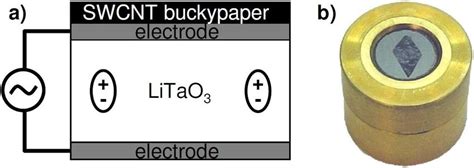 A Schematic And B Picture Of The Pyroelectric Detector With Thick