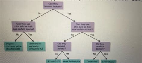 Solved 1 Point Which Of The Following Is NOT True Of Prions Chegg