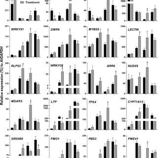 Validation Of Microarray Data Using Qrt Pcr Microarray Results Of