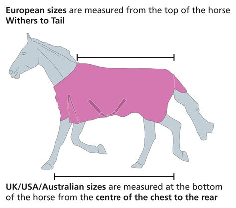 Australian Horse Rug Size Chart - Carpet Vidalondon