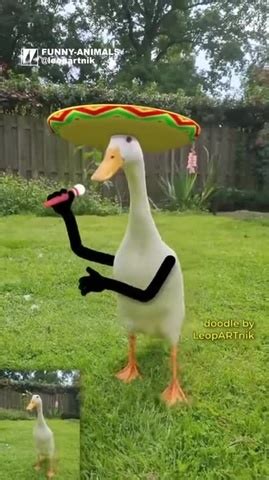 Когда была свободна Русь,3 копейки стоил гусь ! - Coub