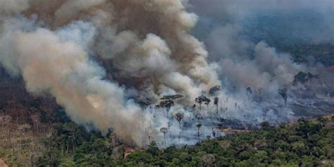 Registran Récord De Incendios Forestales En La Amazonía Brasileña Unicanal