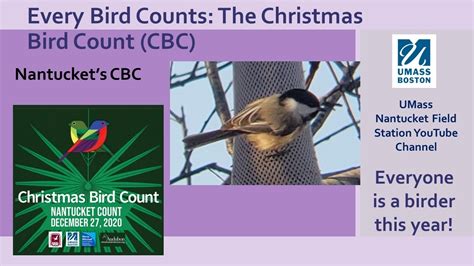 Every Bird Counts The Christmas Bird Count Cbc Youtube