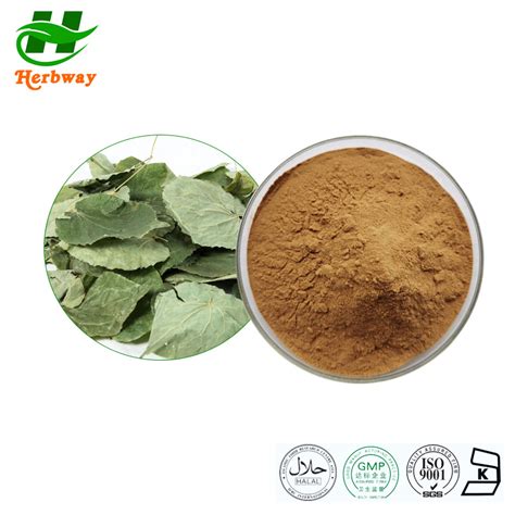 Herbway Botanical Extract Epimedium Powder Isolated Icariin Epimedium