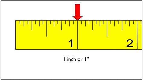 How To Properly Read A Ruler