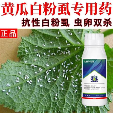 Cucumber Whitefly Special Insecticide White Planthopper Special Effect Pesticide Joint