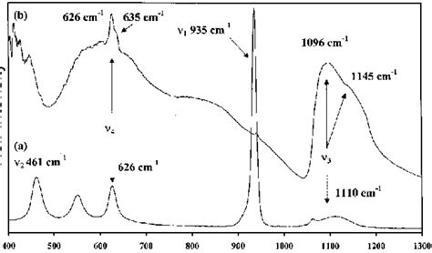 Spectra Of Hydrotalcite Containing Clo 4 A Raman B Ir Download