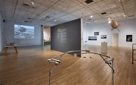 Useless: Machines for Dreaming, Thinking, and Seeing* – Deinós