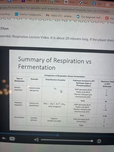 Aerobic Anaerobic Respiration Flashcards Quizlet