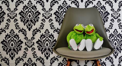 500 Free Kermit And Frog Images Pixabay