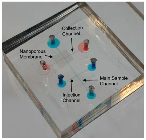 Micromachines Free Full Text Electrophoretic Concentration And