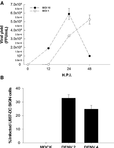 Kinetics Of Viral Rna Replication And Ns Protein Secretion In H C