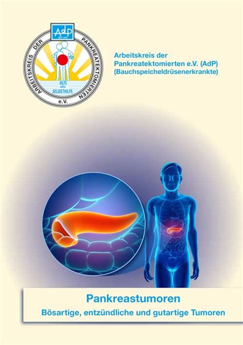 Broschüren und Ratgeber ADP e V Arbeitskreis der