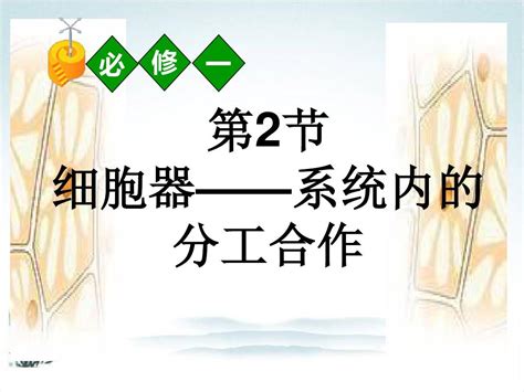 高一生物课件：第三章第二节《细胞器》新人教版必修1word文档在线阅读与下载无忧文档