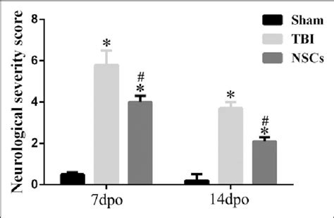 Effect Of Neural Stem Cell Nsc Transplantation On Neurological Download Scientific Diagram