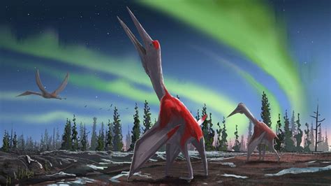 Dinosaur Pterosaur