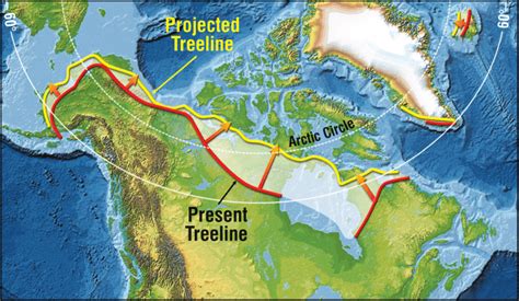 Present-day location of the treeline in northern Canada, and the ...