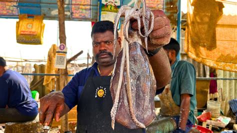 KASIMEDU SPEED SELVAM VERY RARE SQUID CUTTING VIDEO IN KASIMEDU