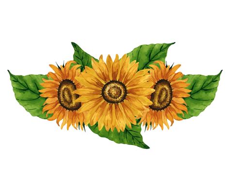summer flowers drawing 6