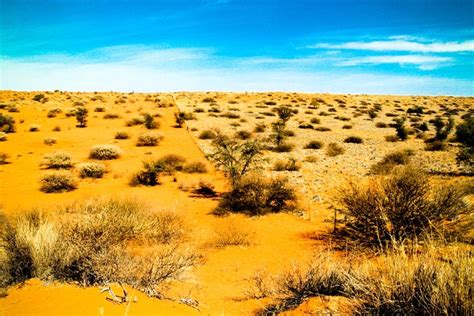 Kalahari Desert Facts & Information - Beautiful World Travel Guide