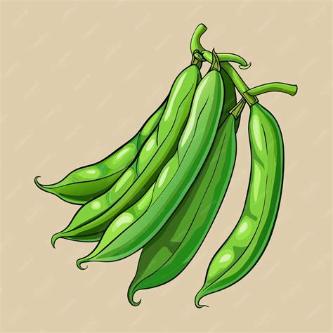 Fresh Green Beans Vector Modern Illustration Premium Ai Generated Vector
