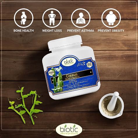 Buy Powerful Cissus Quadrangularis Capsules 500mg - Cissus Quadrangularis Extract - Hadjod