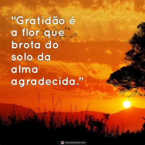 Frases De Cora Coralina Sobre Gratidão - Descubra as Inspirações de Gratidão nas Frases de Cora Coralina ...