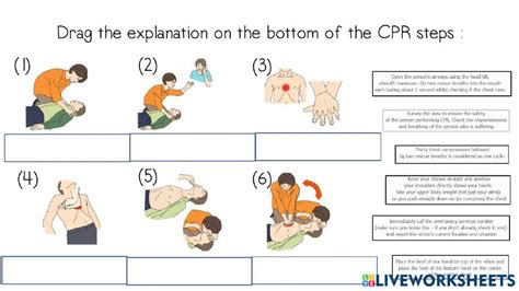 Cpr Steps Online Exercise For Live Worksheets