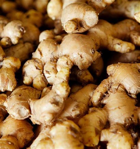 Organic Ginger Root Wthn