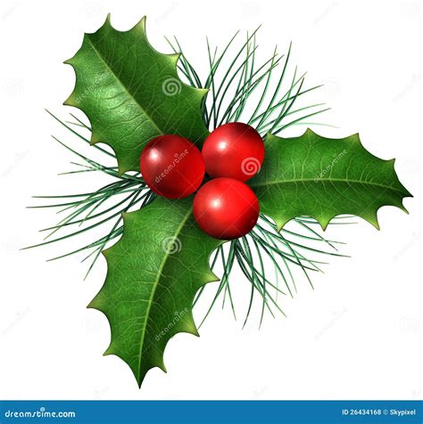 Christmas Holly Royalty Free Stock Photos Image 26434168